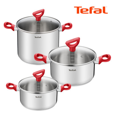 [Tefal] 테팔 에디션 레드 인덕션냄비 양수20cm+양수24cm+곰솥22cm